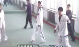 螳螂拳教学视频,一招一式，揭秘古老武术精髓