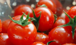 番茄娱乐圈吃瓜读心,吃瓜读心，揭秘明星幕后真相